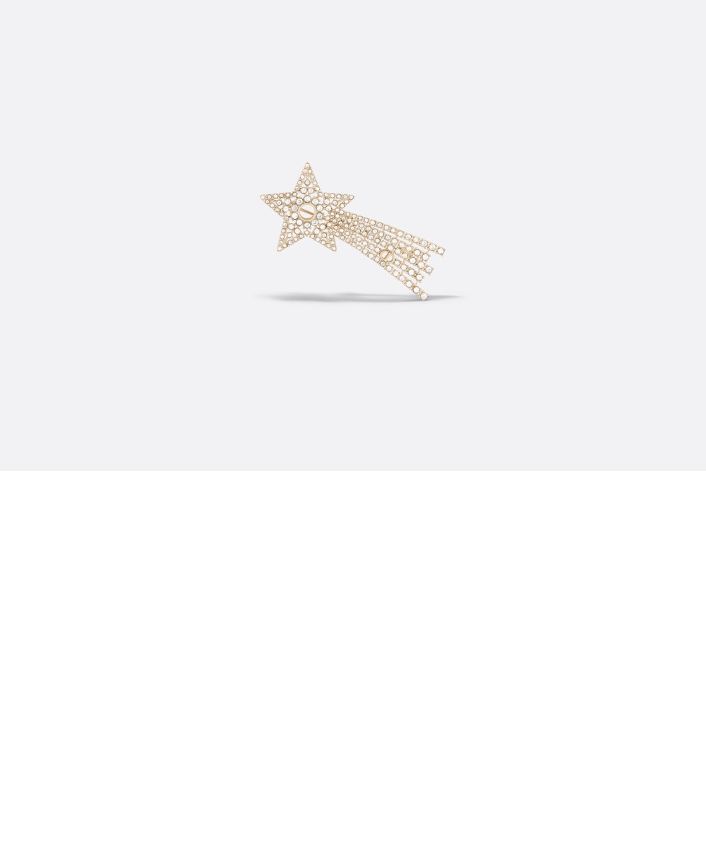 브로치 V1347 > 디올