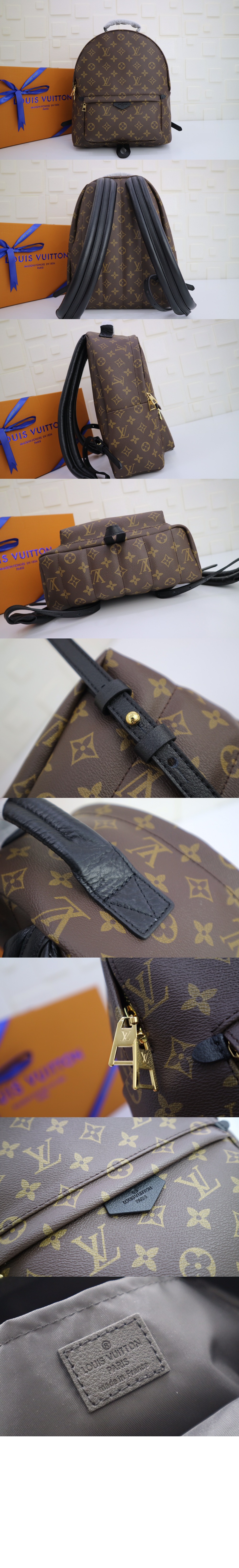 모노그램 팜스프링스 MM M41561 > Backpack - 백팩