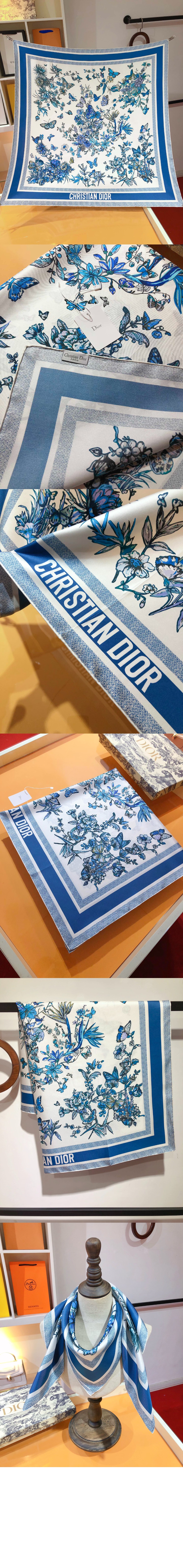 Christian Dior  41BUT > 디올