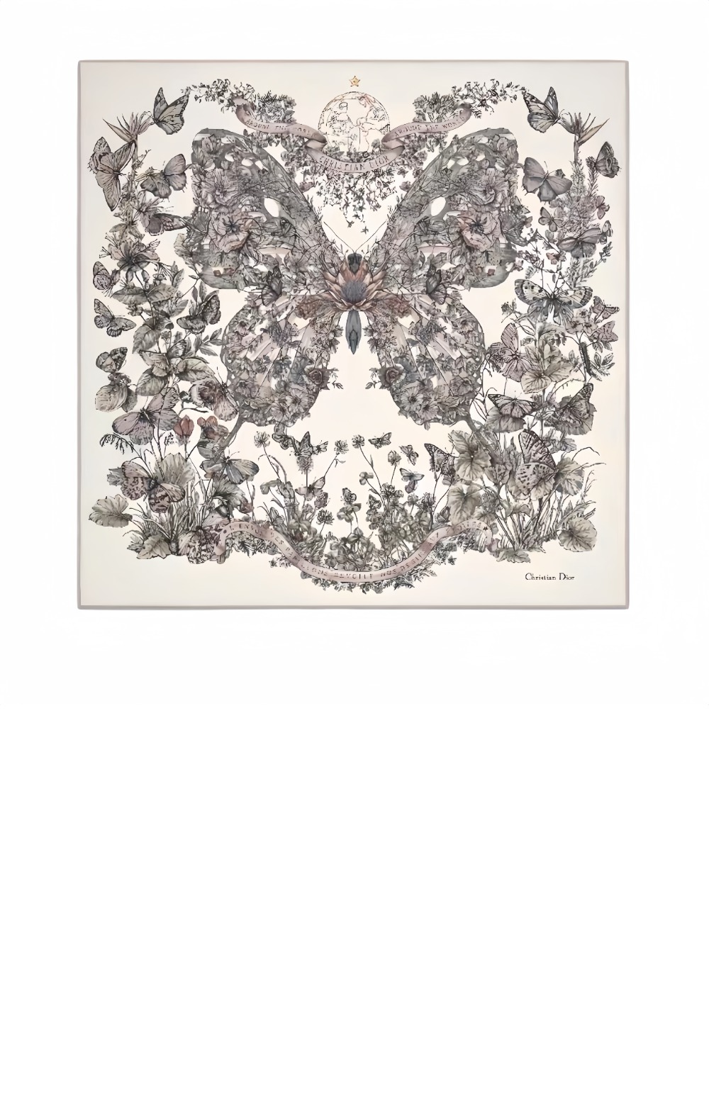 Butterfly Around the World 41PAW > 디올