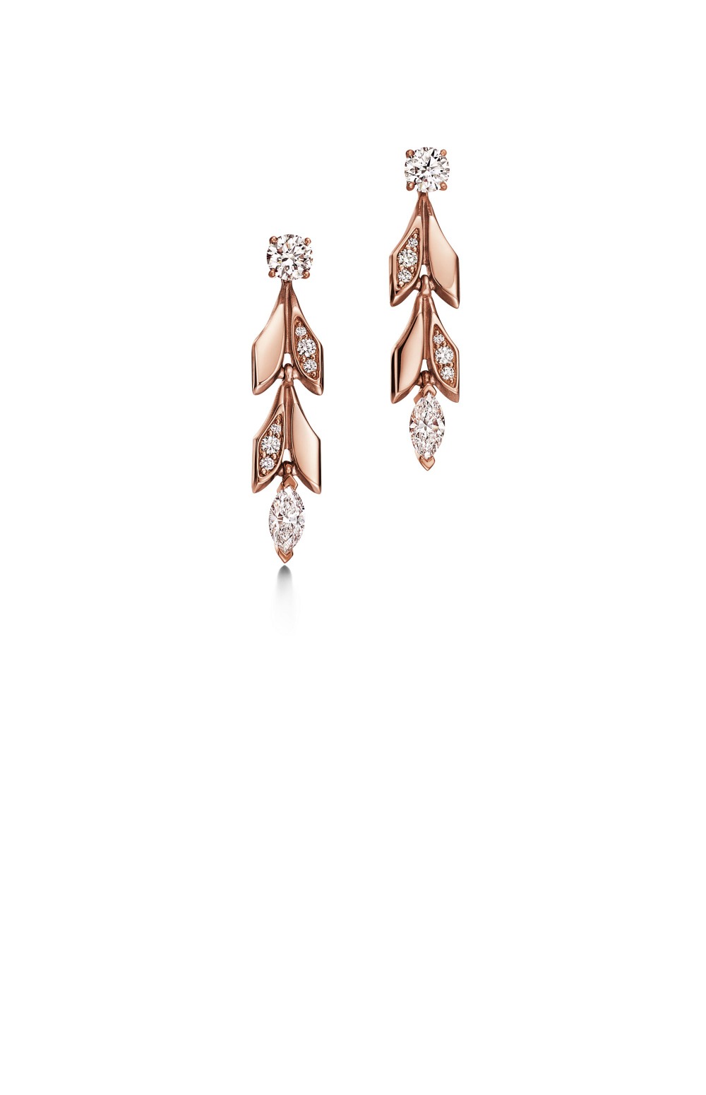 바인 컨버터블 드롭 귀걸이 > Etc - 기타제품