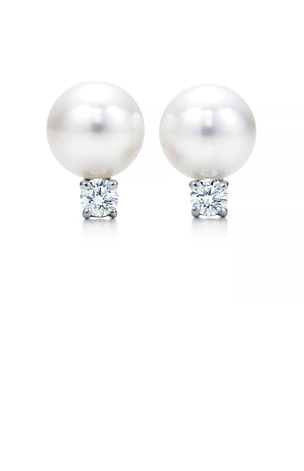 귀걸이 > Etc - 기타제품