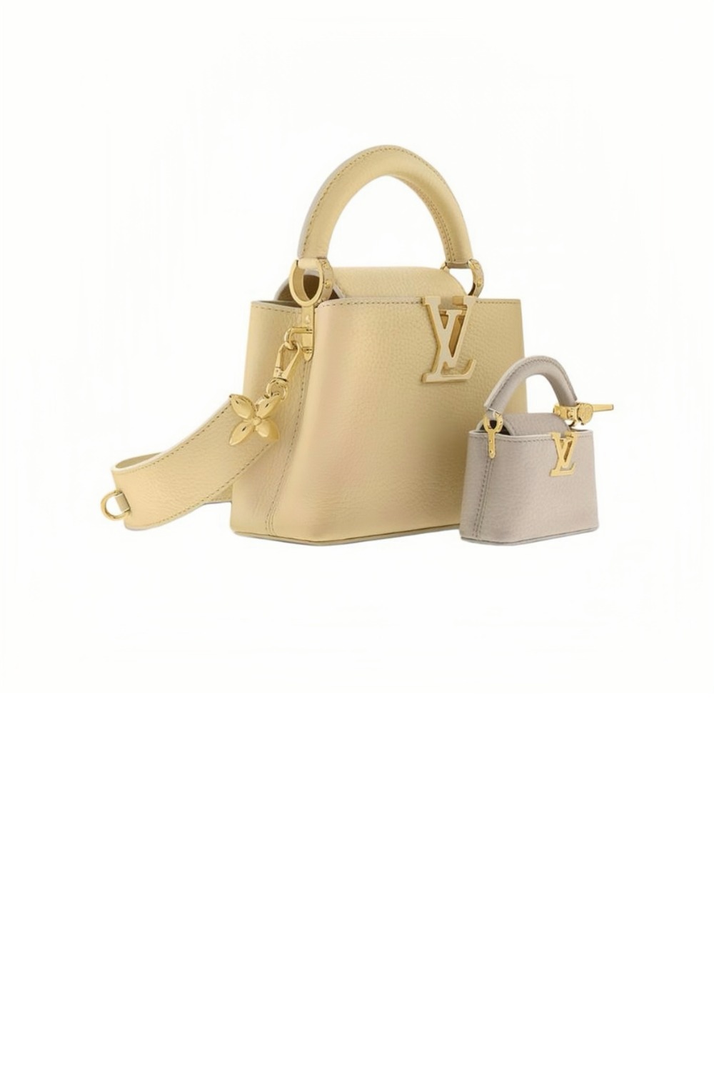 카퓌신 미니 M24563 > Capucines - 카퓌신