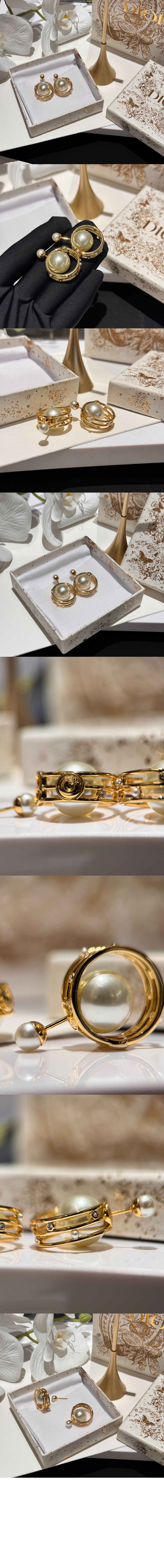 트라이벌 귀걸이 E3173 > 디올