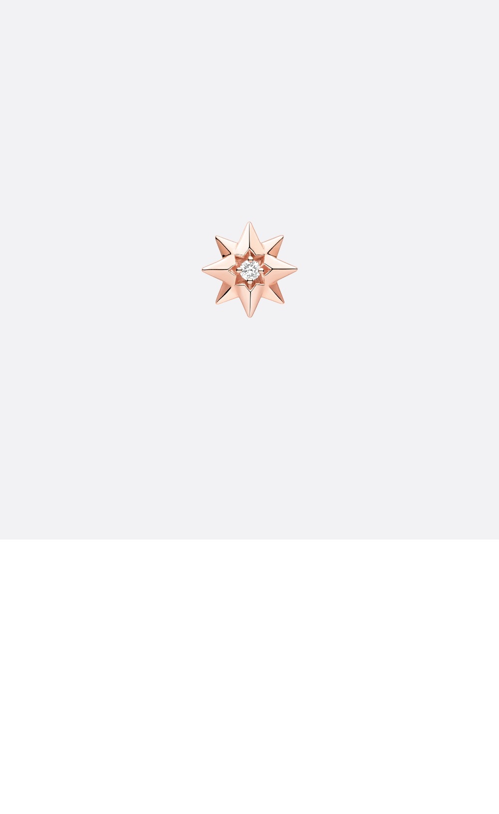 자디올 귀걸이 JRDV9 > 디올