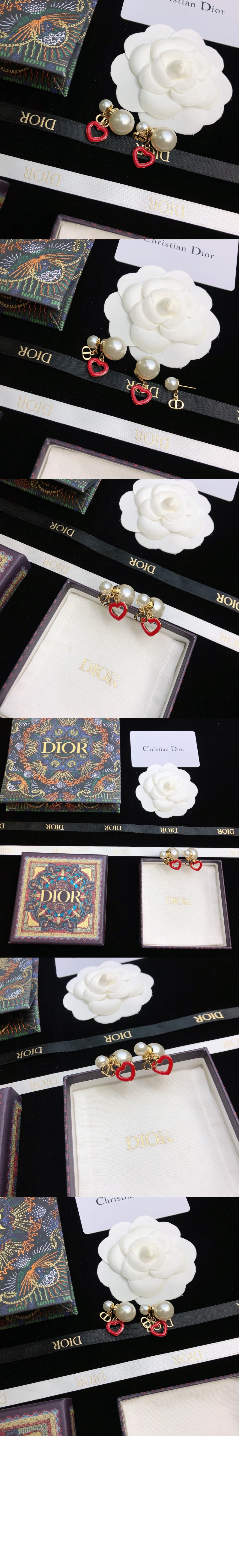 아무르 트라이벌 귀걸이 E1638 > 디올