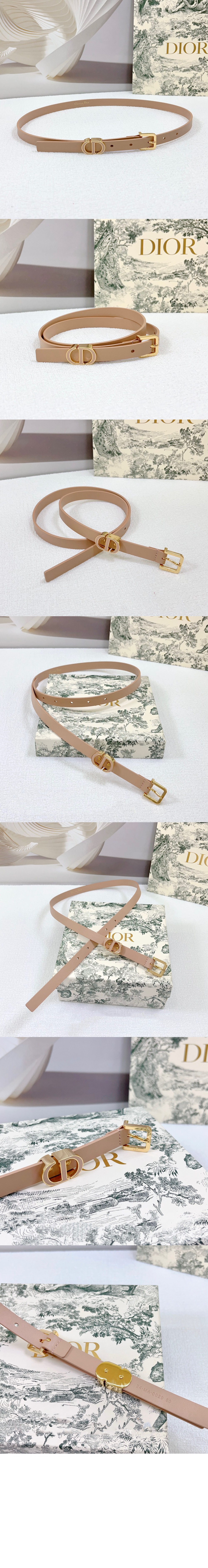 30 몽테인 루프 벨트 B0439 ₩ 810,000 > 디올