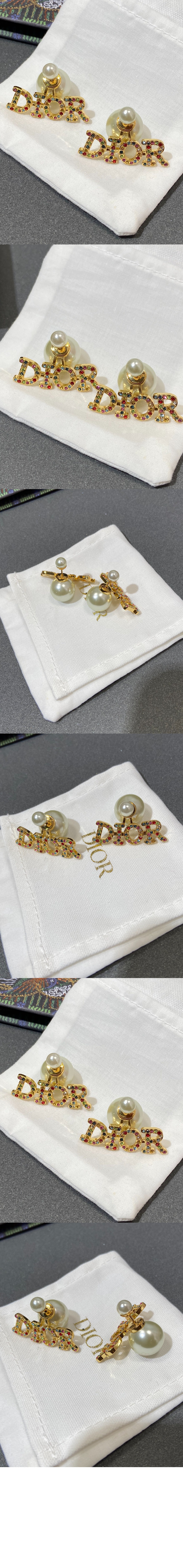 트라이벌 귀걸이 E1517 > 디올