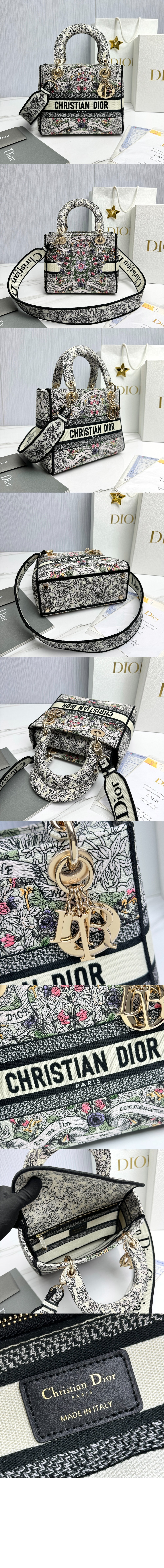 레이디백 디라이트 미듐 M0565 > Lady - 레이디