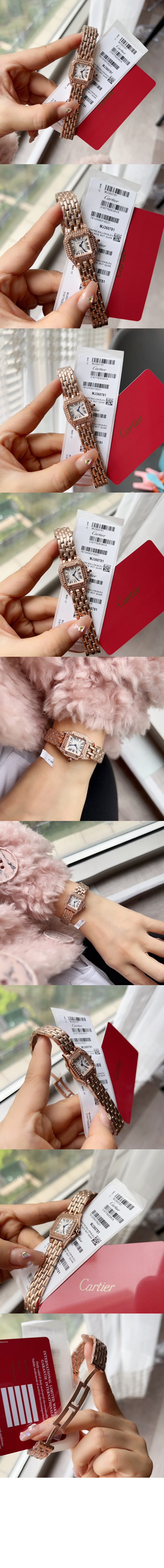 팬더 드 까르띠에 콤비 25 WJPN0020 > Panthère - 팬더