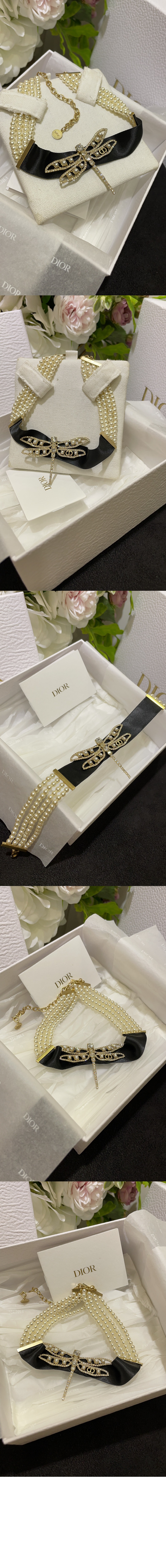 나이트 허바리움 목걸이 N2831 > 디올