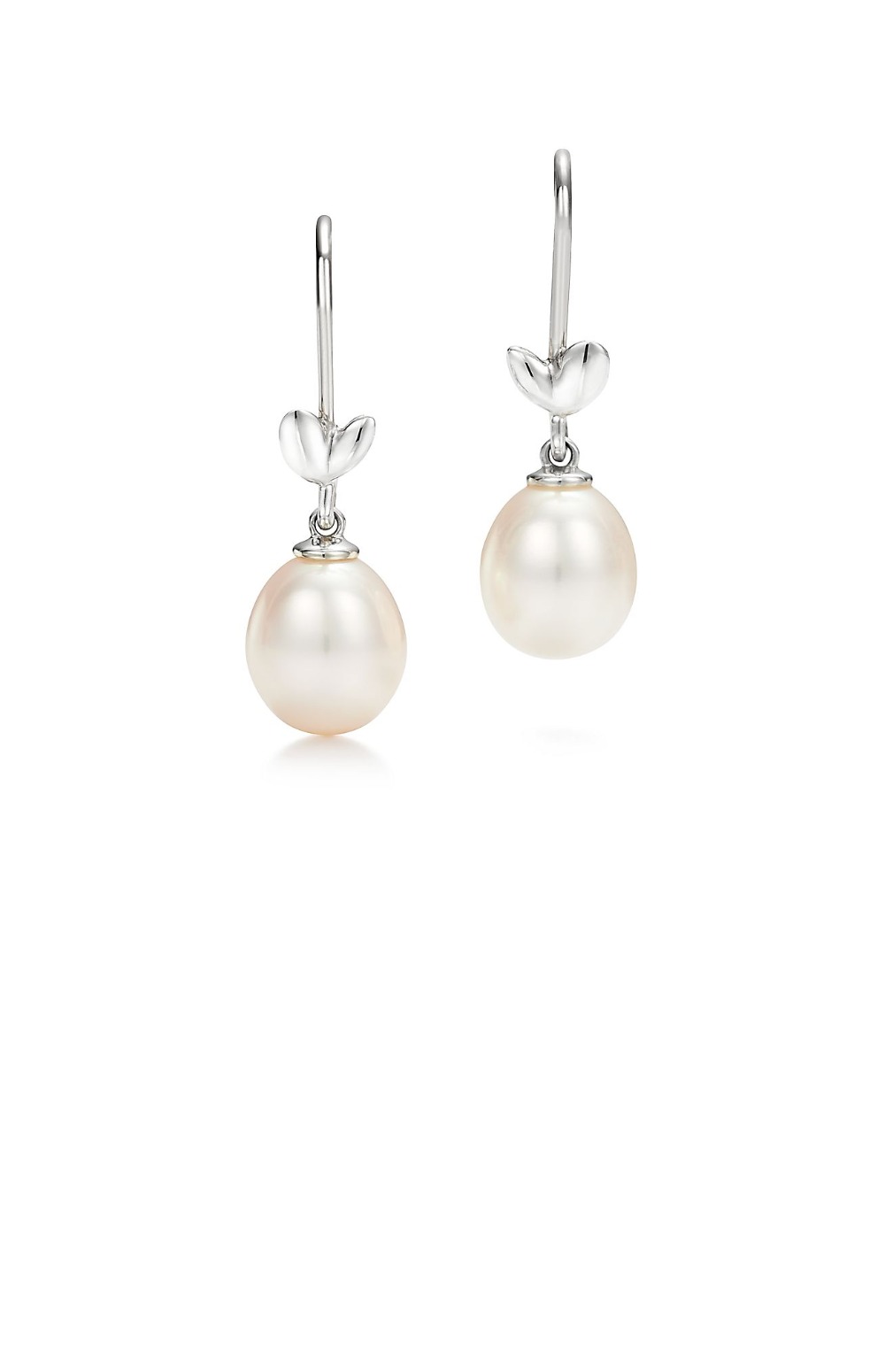 올리브 리프 드롭 이어링 > Etc - 기타제품