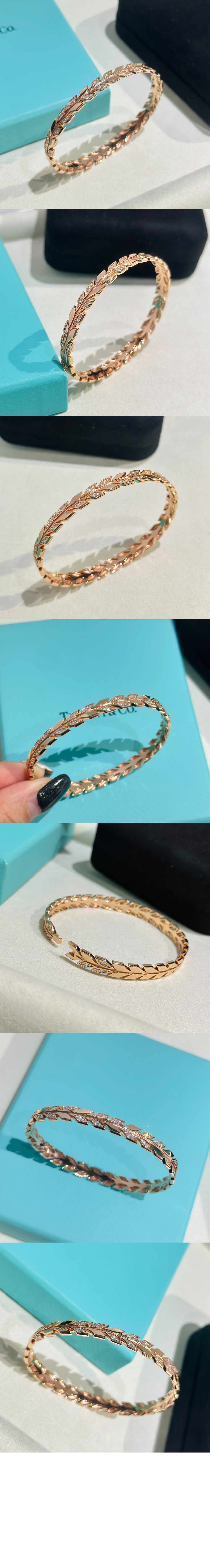 덩굴 힌지 뱅글 > Etc - 기타제품