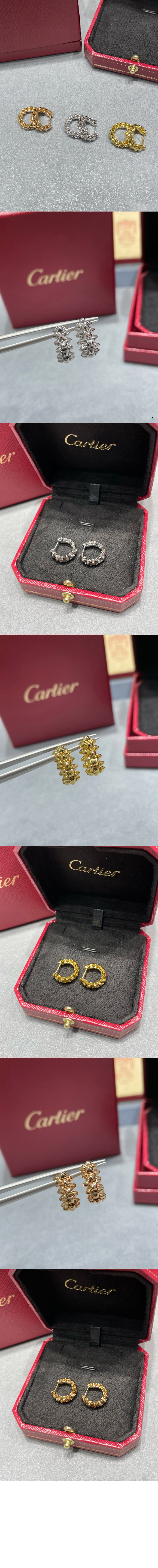 클래쉬 드 이어링 B8301521 > Etc - 기타제품