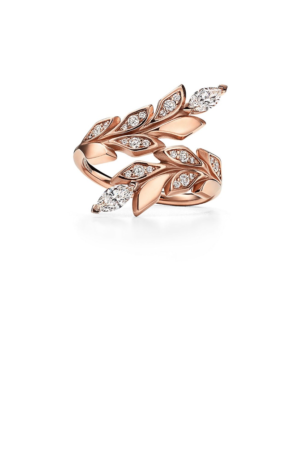 넝쿨 서클 반지 > Etc - 기타제품