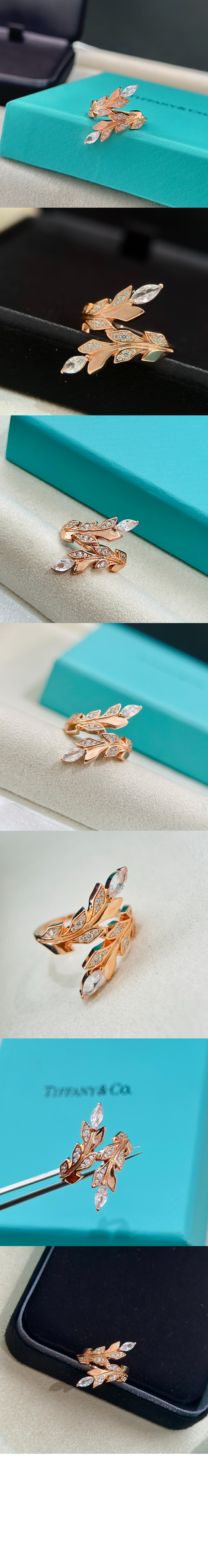 넝쿨 서클 반지 > Etc - 기타제품