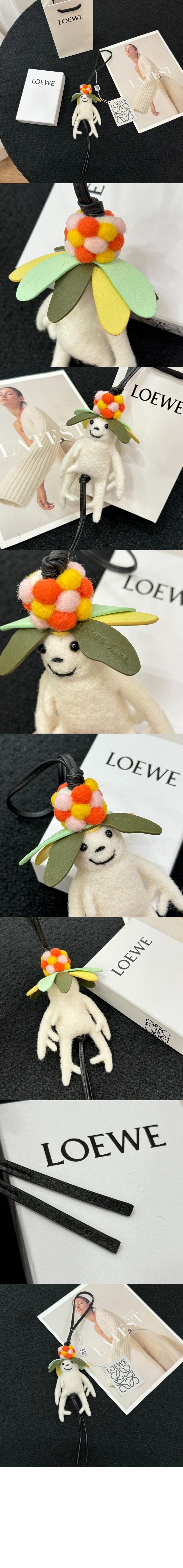 만델라그래스  참 > 로에베