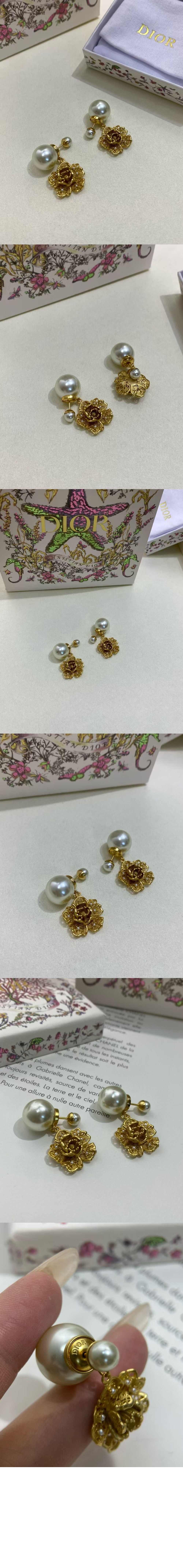 Dior Tribales 귀걸이  E4088 > 디올