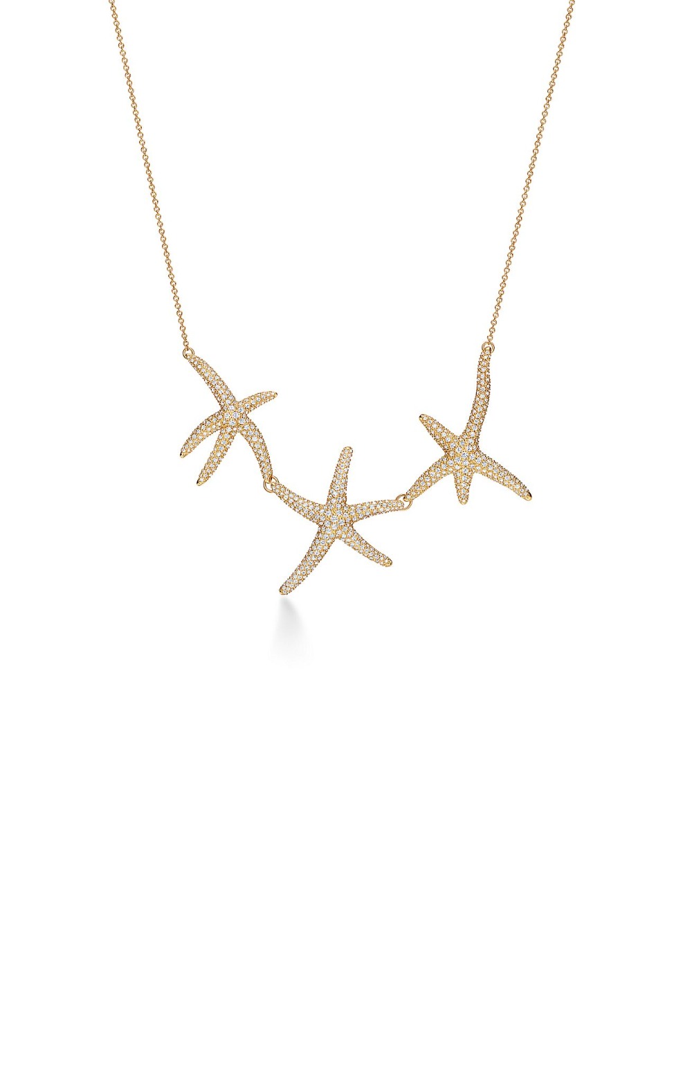 Starfish 네크리스 > Etc - 기타제품