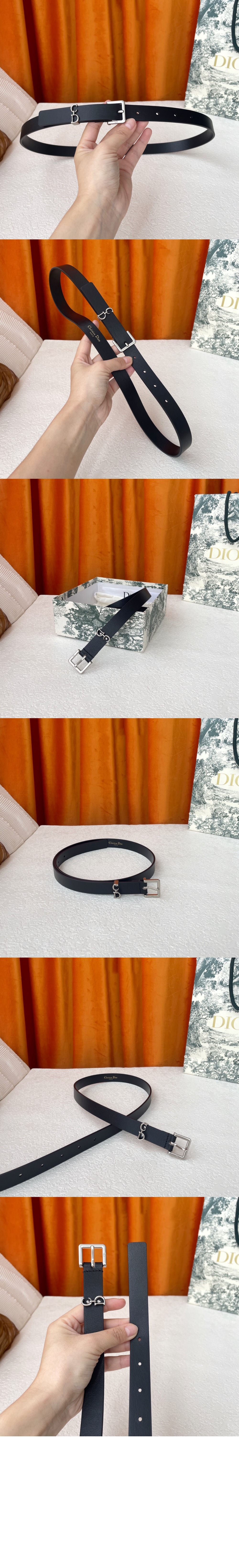 addle Loop 벨트 B0716 > 디올