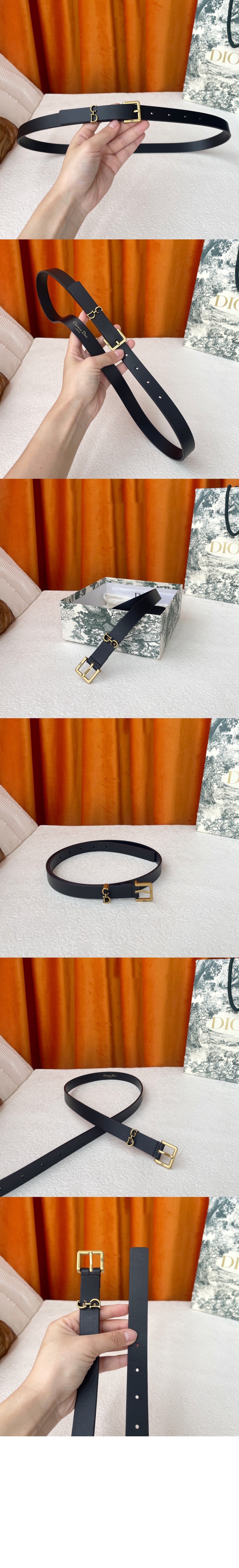 addle Loop 벨트 B0716 > 디올