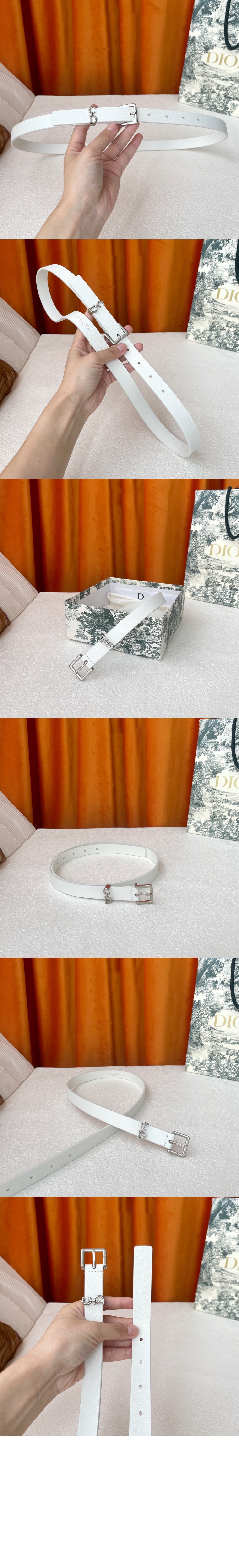 addle Loop 벨트 B0716 > 디올