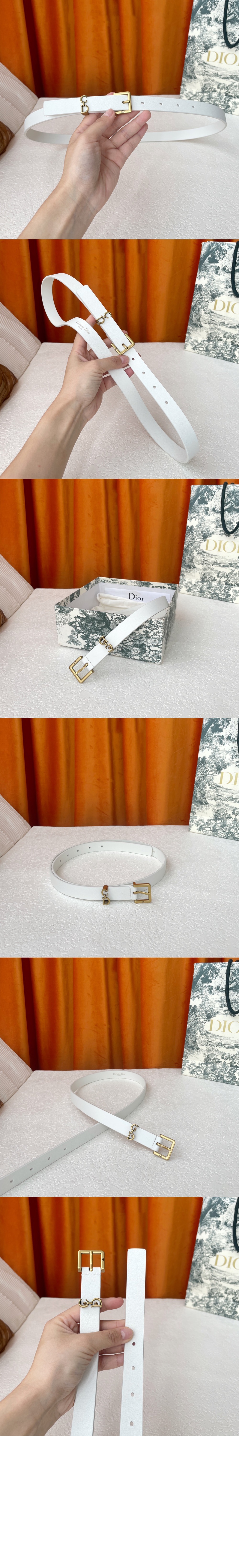 addle Loop 벨트 B0716 > 디올