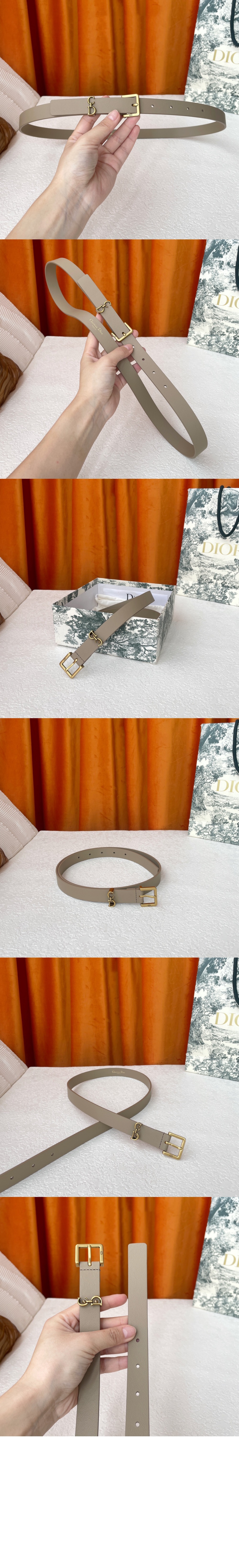 addle Loop 벨트 B0716 > 디올