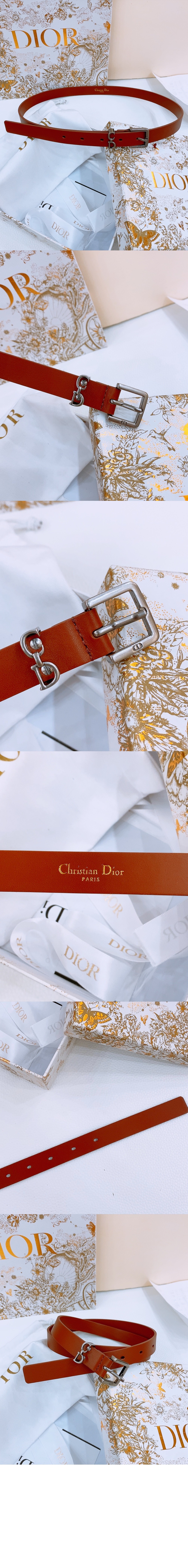 addle Loop 벨트 B0716 > 디올