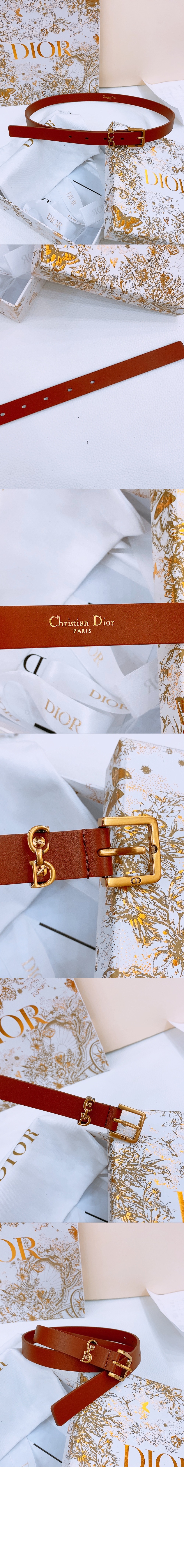 addle Loop 벨트 B0716 > 디올