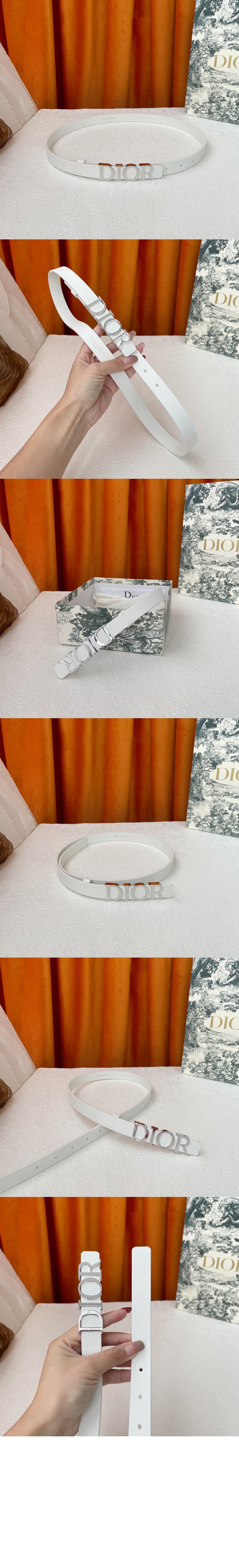 D Dream 벨트 B0176 > 디올