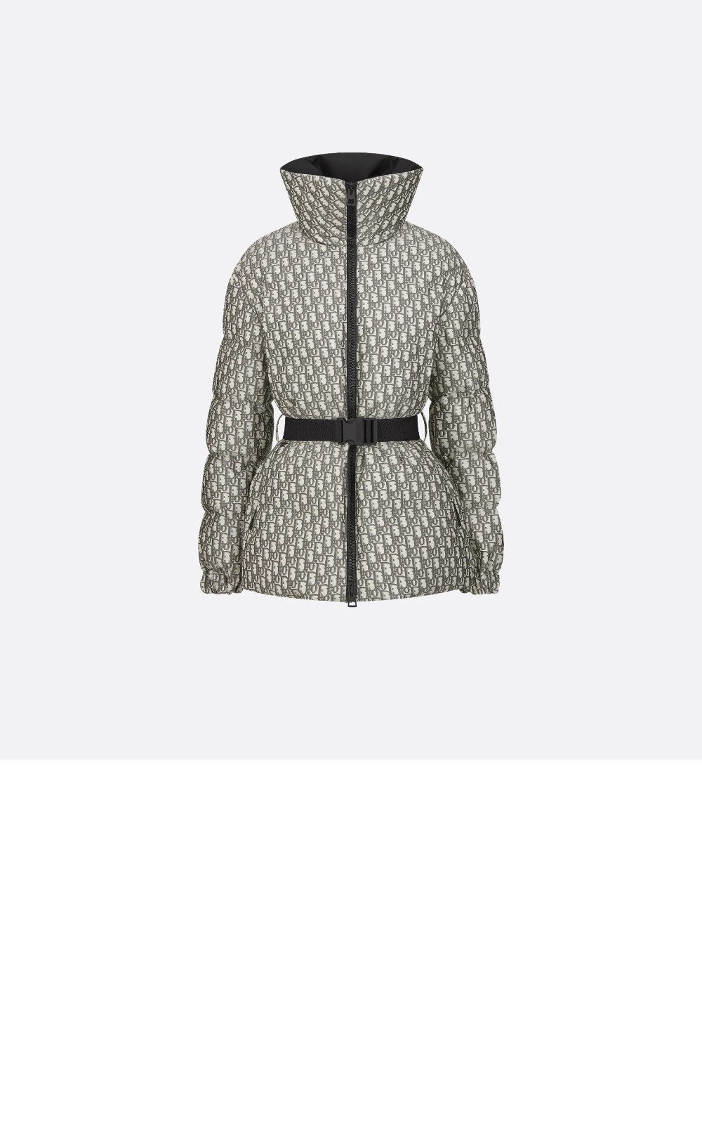 DiorAlps 벨트 푸퍼 재킷 > Etc - 기타제품