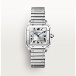 까*** 산토스 스몰