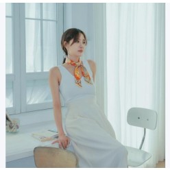 에*** 페가수스 방도
