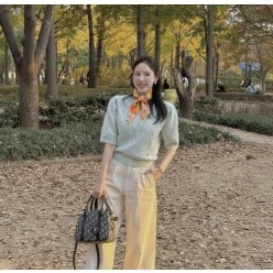 에*** 페가수스 방도