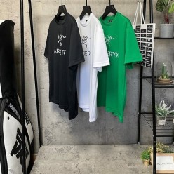아**** 도마뱀2