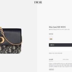 디* 미스 카로 체인 파우치