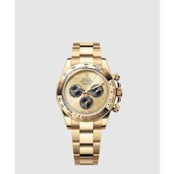 데이토나 금통 40 126508