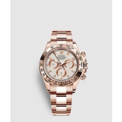 데이토나 금통 40 116505