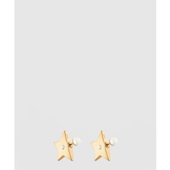 Dior Tribales 귀걸이 E2118