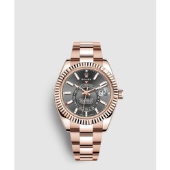 스카이 드웰러 금통 42 326935