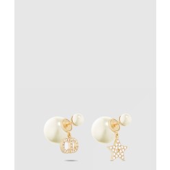 Dior Tribales 귀걸이 E1038