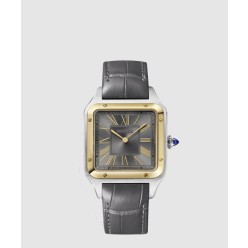 산토스-뒤몽 43.5 W2SA0028