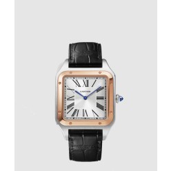 산토스-뒤몽 43.5 W2SA0011