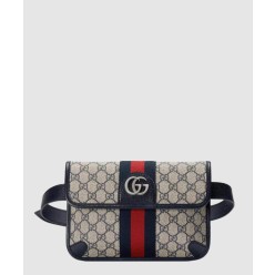 오피디아 GG 벨트백 674081