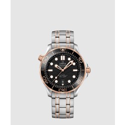 씨마스터 다이버 300 콤비 42