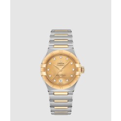 컨스텔레이션 29