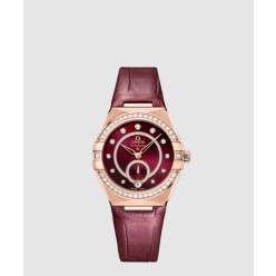 컨스텔레이션 34