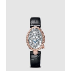 레인 드 네이플 33 8928BB