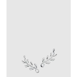 올리브 리프 클라이머 귀걸이